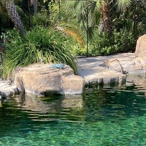 Meet your Posher, Debbi